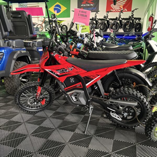 VALTINSU EM-5 DirtBike