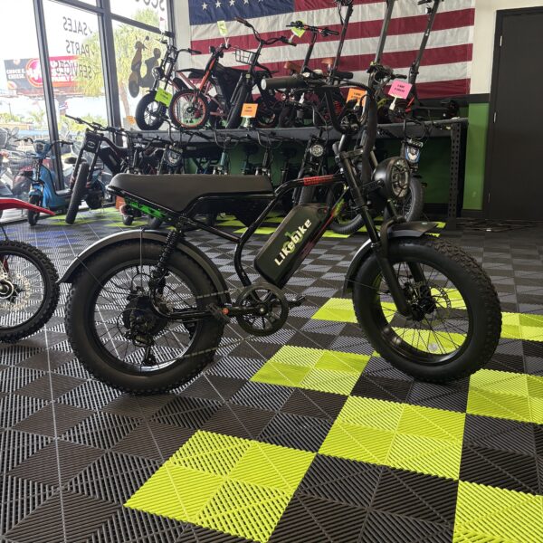 UM1 Electric Assisted Bike