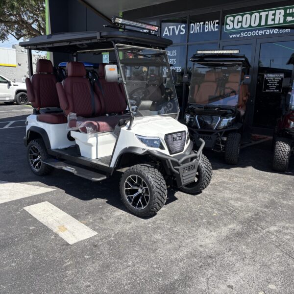 GOLF CARTS 4 Zebra Breeze Golf Cart