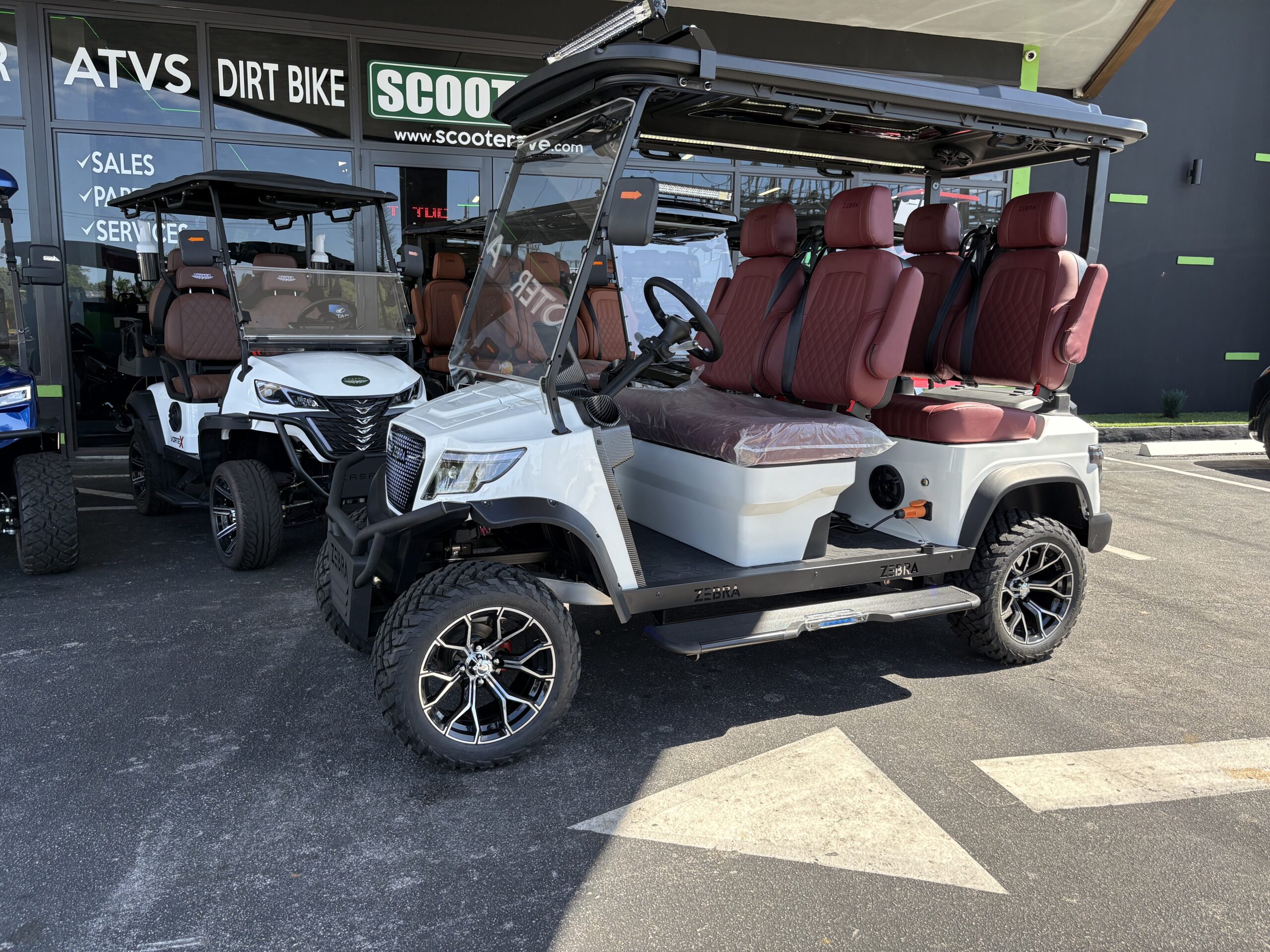 Zebra Breeze 4L - Image 4